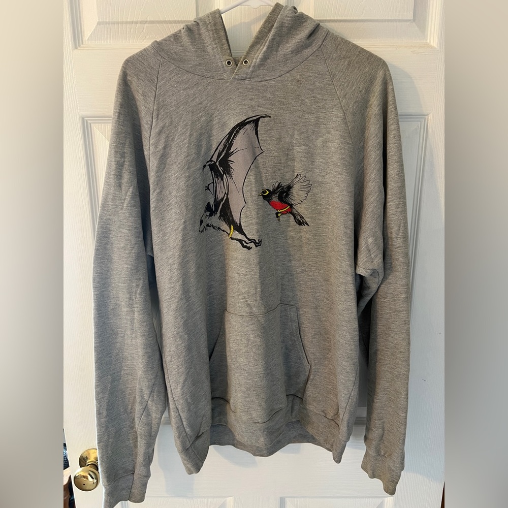 Batman & Robin Hoodie